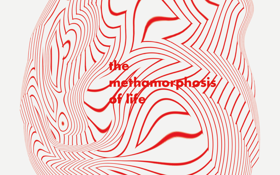‚The metamorphosis of life‘ | 1. Semester Mode Design, AMD München